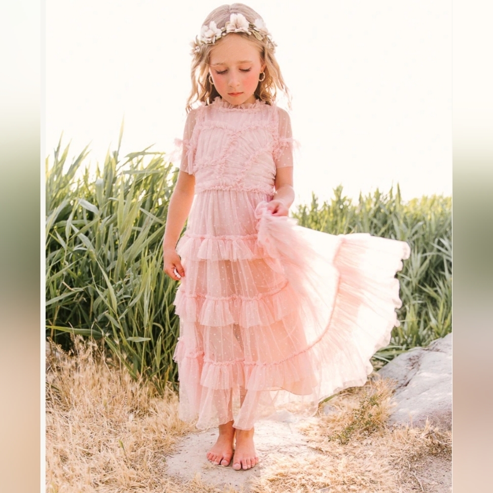 Ivy City Whimsical Maxi Ruffle Tulle Fairy Dress Blush Pink 2T NWOT ✨✨